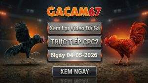 Xem Lại Video Đá Gà CPC2 Ngày 04/05/2026