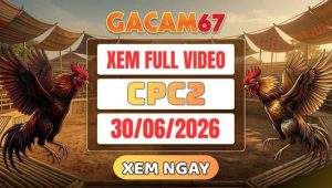 Xem Lại Video Đá Gà CPC2 Ngày 30/06/2026 Tại GACAM67
